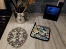Sand Dollars Pair of Pot Holders Kitchen Heat Resistant Pot Holders Sets Oven Hot Pads for Cooking Baking BBQ, 7 1/2 x 7 1/2